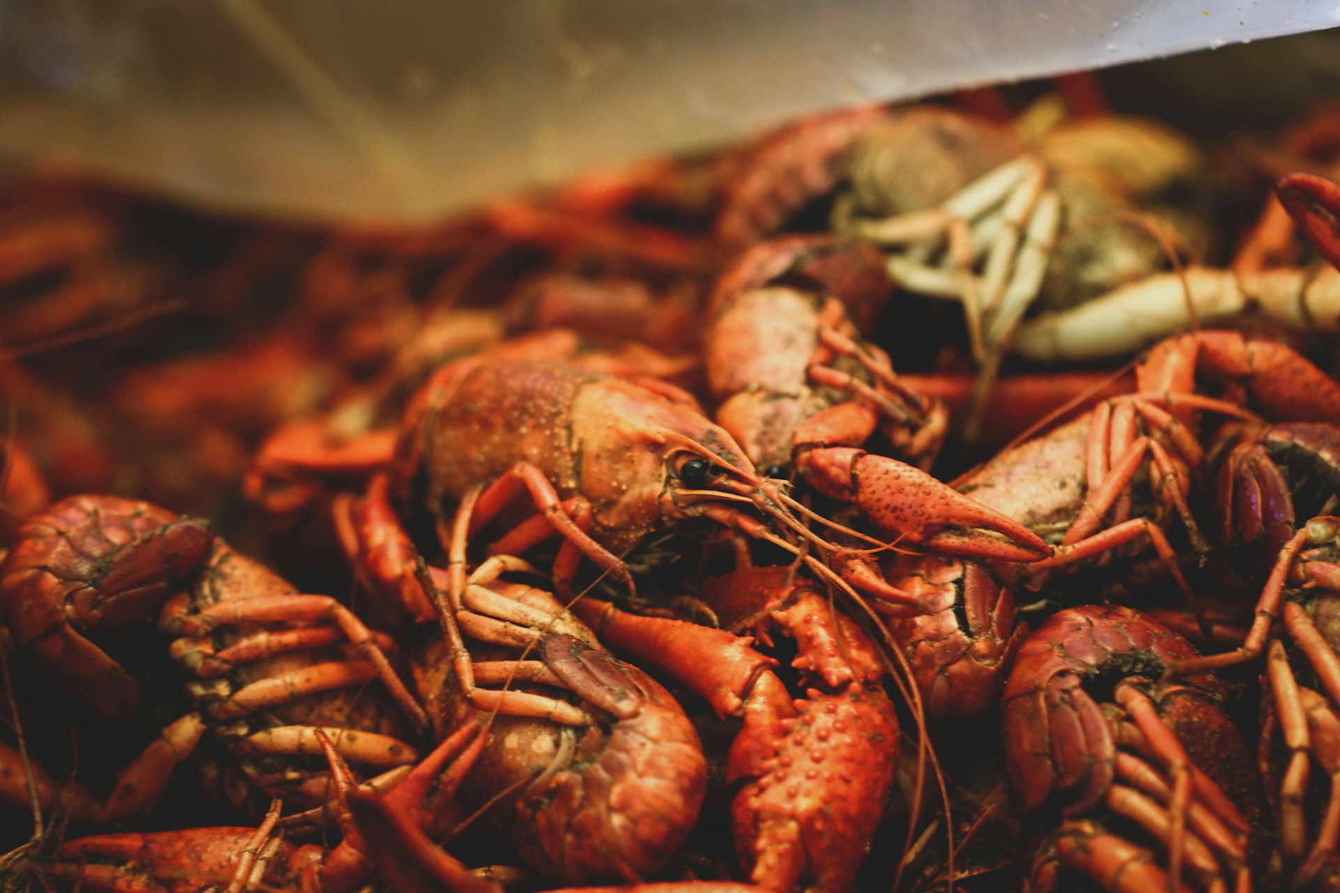 Fresh crawfish and cajun seafood